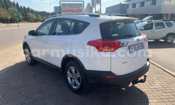 Tenga Tsaru Toyota RAV4 Chena Mota in Borrowdale in Harare Tenga Tsaru Toyota RAV4 Chena Mota in Borrowdale in Harare