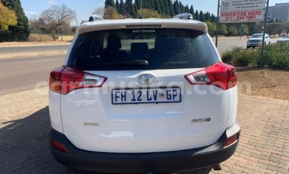 Tenga Tsaru Toyota RAV4 Chena Mota in Borrowdale in Harare Tenga Tsaru Toyota RAV4 Chena Mota in Borrowdale in Harare
