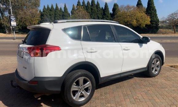 Tenga Tsaru Toyota RAV4 Chena Mota in Borrowdale in Harare Tenga Tsaru Toyota RAV4 Chena Mota in Borrowdale in Harare