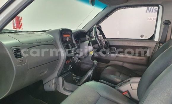 Tenga Tsaru Nissan Hardbody Chena Mota in Beitbridge in Matabeleland South Tenga Tsaru Nissan Hardbody Chena Mota in Beitbridge in Matabeleland South