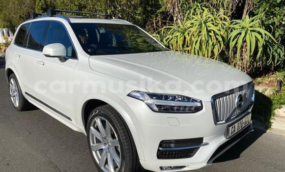 Buy Used Volvo XC90 White Car in Beitbridge in Matabeleland South