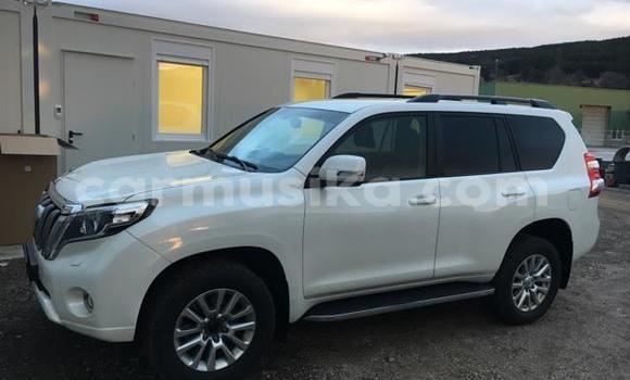 Tenga Tsaru Toyota Land Cruiser Prado Chena Mota in Harare in Harare Tenga Tsaru Toyota Land Cruiser Prado Chena Mota in Harare in Harare