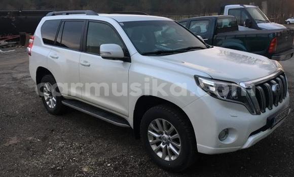 Tenga Tsaru Toyota Land Cruiser Prado Chena Mota in Harare in Harare Tenga Tsaru Toyota Land Cruiser Prado Chena Mota in Harare in Harare