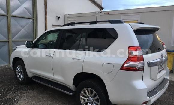 Tenga Tsaru Toyota Land Cruiser Prado Chena Mota in Harare in Harare Tenga Tsaru Toyota Land Cruiser Prado Chena Mota in Harare in Harare