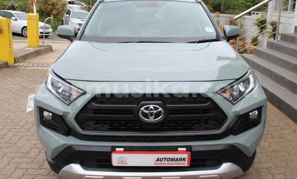 Acheter Occasion Voiture Toyota RAV4 Autre à Beitbridge, Matabeleland South Acheter Occasion Voiture Toyota RAV4 Autre à Beitbridge, Matabeleland South