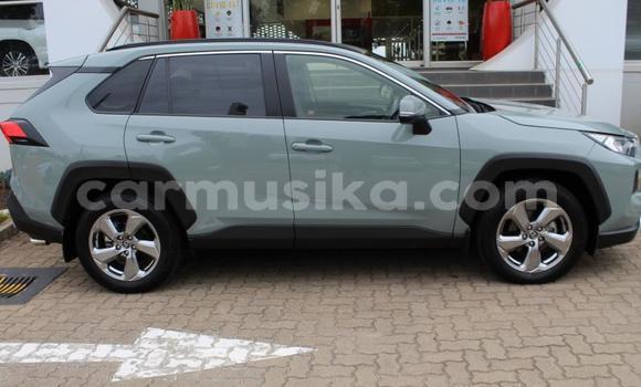 Acheter Occasion Voiture Toyota RAV4 Autre à Beitbridge, Matabeleland South Acheter Occasion Voiture Toyota RAV4 Autre à Beitbridge, Matabeleland South