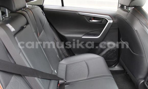 Acheter Occasion Voiture Toyota RAV4 Autre à Beitbridge, Matabeleland South Acheter Occasion Voiture Toyota RAV4 Autre à Beitbridge, Matabeleland South