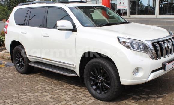 Tenga Tsaru Toyota Land Cruiser Prado Chena Mota in Beitbridge in Matabeleland South
