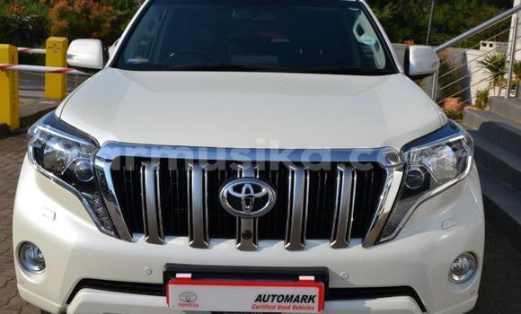 Tenga Tsaru Toyota Land Cruiser Prado Chena Mota in Beitbridge in Matabeleland South Tenga Tsaru Toyota Land Cruiser Prado Chena Mota in Beitbridge in Matabeleland South