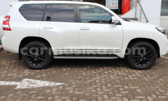 Tenga Tsaru Toyota Land Cruiser Prado Chena Mota in Beitbridge in Matabeleland South Tenga Tsaru Toyota Land Cruiser Prado Chena Mota in Beitbridge in Matabeleland South