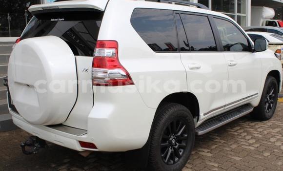 Tenga Tsaru Toyota Land Cruiser Prado Chena Mota in Beitbridge in Matabeleland South Tenga Tsaru Toyota Land Cruiser Prado Chena Mota in Beitbridge in Matabeleland South