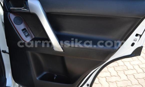 Tenga Tsaru Toyota Land Cruiser Prado Chena Mota in Beitbridge in Matabeleland South Tenga Tsaru Toyota Land Cruiser Prado Chena Mota in Beitbridge in Matabeleland South