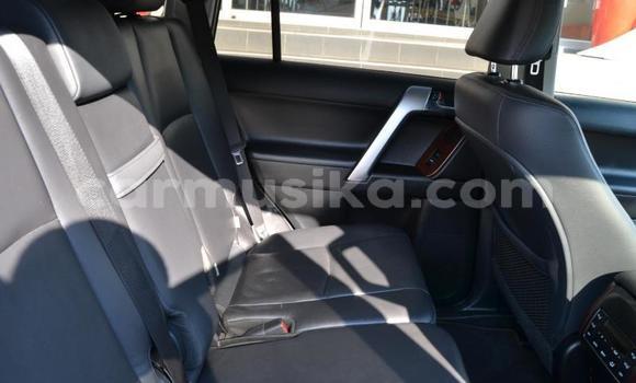 Tenga Tsaru Toyota Land Cruiser Prado Chena Mota in Beitbridge in Matabeleland South Tenga Tsaru Toyota Land Cruiser Prado Chena Mota in Beitbridge in Matabeleland South