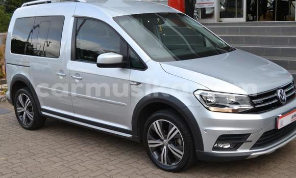 Tenga Tsaru Volkswagen Caddy Chena Mota in Beitbridge in Matabeleland South