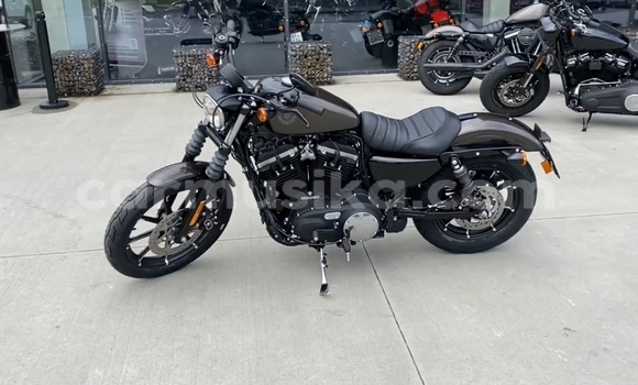 Buy Used Harley Davidson IRON Black Bike in Chimanimani in Manicaland