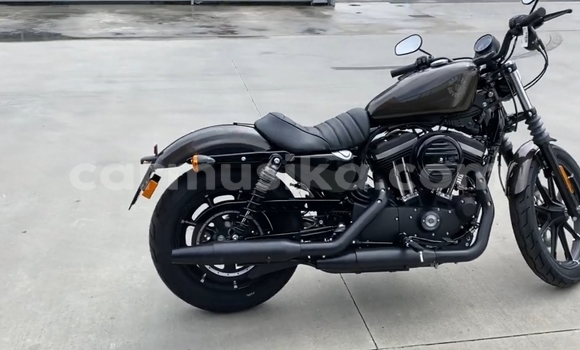 Tenga Tsaru Harley Davidson IRON Nhema Bike in Chimanimani in Manicaland Tenga Tsaru Harley Davidson IRON Nhema Bike in Chimanimani in Manicaland