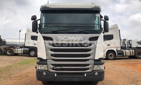 Tenga Tsaru Scania R420 Chena Rori in Beitbridge in Matabeleland South Tenga Tsaru Scania R420 Chena Rori in Beitbridge in Matabeleland South