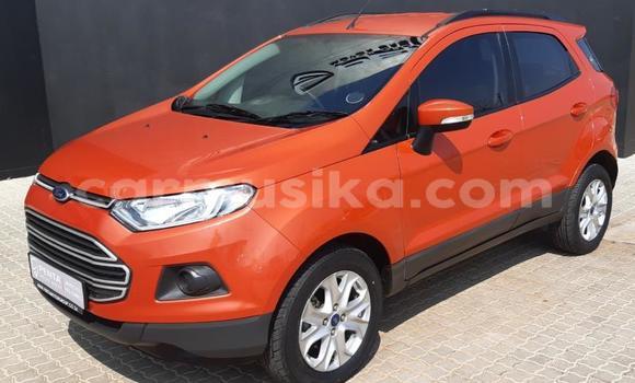 Buy Used Ford EcoSport Other Car in Beitbridge in Matabeleland South
