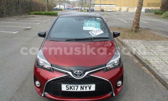 Tenga Tsaru Toyota Yaris Beige Mota in Harare in Harare Tenga Tsaru Toyota Yaris Beige Mota in Harare in Harare