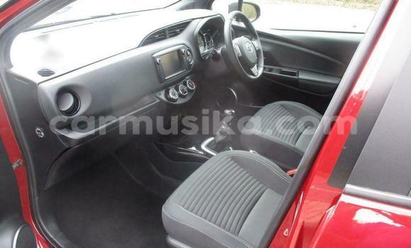 Tenga Tsaru Toyota Yaris Beige Mota in Harare in Harare Tenga Tsaru Toyota Yaris Beige Mota in Harare in Harare