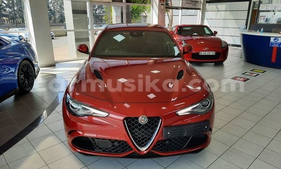 Nunua Ilio tumika Alfa Romeo Giulia Nyekundu Gari ndani ya Beitbridge nchini Matabeleland Kusini Nunua Ilio tumika Alfa Romeo Giulia Nyekundu Gari ndani ya Beitbridge nchini Matabeleland Kusini