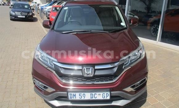 Buy Used Honda CR–V Red Car in Borrowdale in Harare Buy Used Honda CR–V Red Car in Borrowdale in Harare