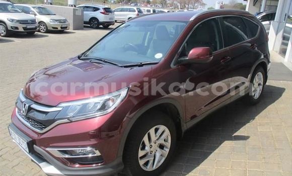 Buy Used Honda CR–V Red Car in Borrowdale in Harare Buy Used Honda CR–V Red Car in Borrowdale in Harare