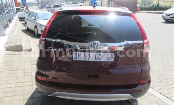 Buy Used Honda CR–V Red Car in Borrowdale in Harare Buy Used Honda CR–V Red Car in Borrowdale in Harare