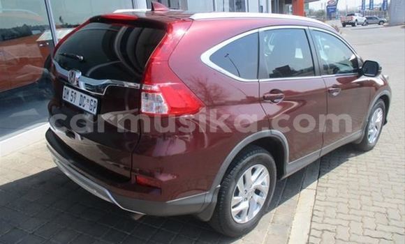 Buy Used Honda CR–V Red Car in Borrowdale in Harare Buy Used Honda CR–V Red Car in Borrowdale in Harare