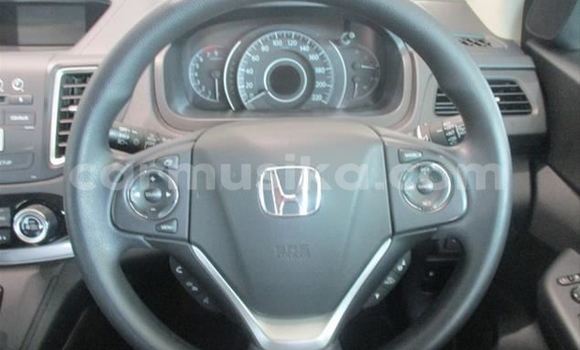 Buy Used Honda CR–V Red Car in Borrowdale in Harare Buy Used Honda CR–V Red Car in Borrowdale in Harare