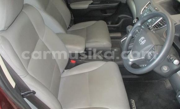 Buy Used Honda CR–V Red Car in Borrowdale in Harare Buy Used Honda CR–V Red Car in Borrowdale in Harare
