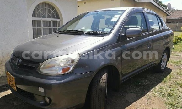 Nunua Ilio tumika Toyota Platz Nyingine Gari ndani ya Harare nchini Harare Nunua Ilio tumika Toyota Platz Nyingine Gari ndani ya Harare nchini Harare