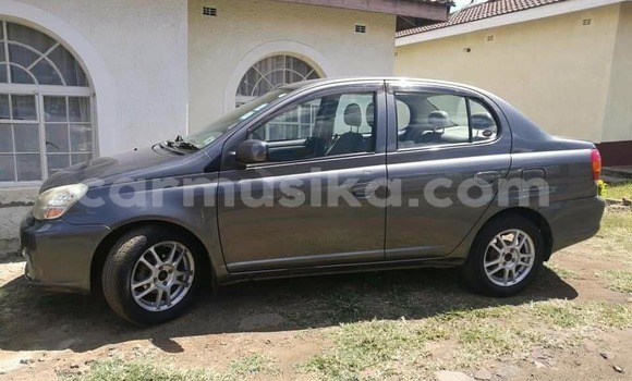 Nunua Ilio tumika Toyota Platz Nyingine Gari ndani ya Harare nchini Harare Nunua Ilio tumika Toyota Platz Nyingine Gari ndani ya Harare nchini Harare