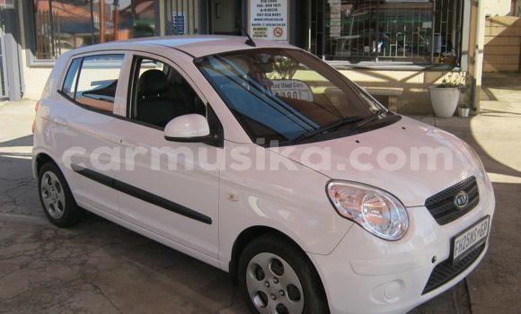 Tenga Tsaru Kia Picanto Chena Mota in Beitbridge in Matabeleland South