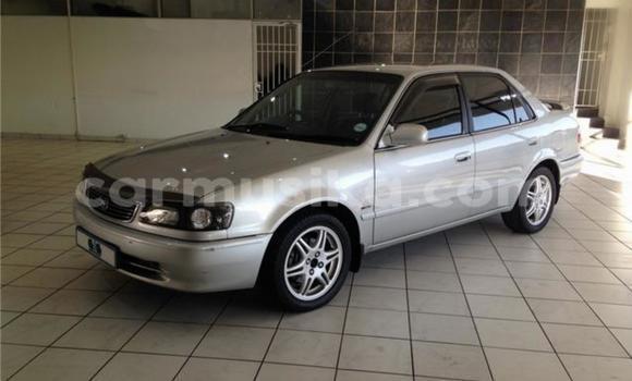 Nunua Ilio tumika Toyota Corolla Fedha Gari ndani ya Beitbridge nchini Matabeleland Kusini