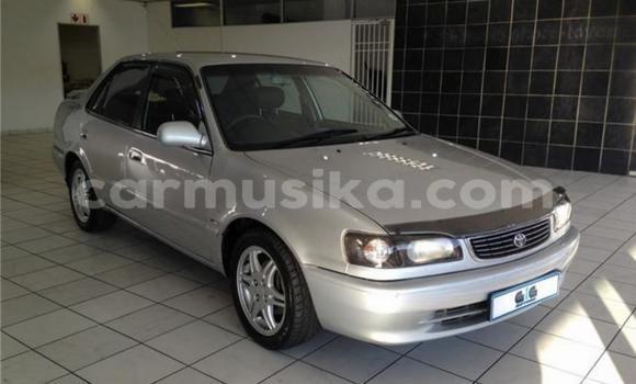 Acheter Occasion Voiture Toyota Corolla Gris à Beitbridge, Matabeleland South Acheter Occasion Voiture Toyota Corolla Gris à Beitbridge, Matabeleland South