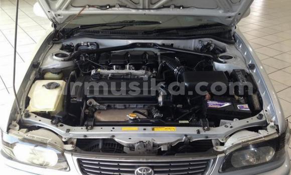 Acheter Occasion Voiture Toyota Corolla Gris à Beitbridge, Matabeleland South Acheter Occasion Voiture Toyota Corolla Gris à Beitbridge, Matabeleland South