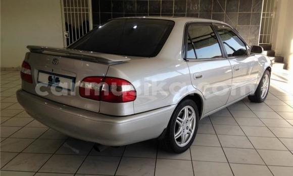 Acheter Occasion Voiture Toyota Corolla Gris à Beitbridge, Matabeleland South Acheter Occasion Voiture Toyota Corolla Gris à Beitbridge, Matabeleland South