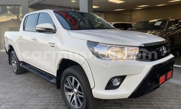 Tenga Tsaru Toyota Hilux Chena Mota in Beitbridge in Matabeleland South