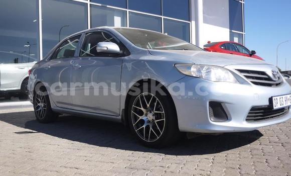 Acheter Occasion Voiture Toyota Corolla Bleu à Beitbridge, Matabeleland South