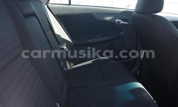 Acheter Occasion Voiture Toyota Corolla Bleu à Beitbridge, Matabeleland South Acheter Occasion Voiture Toyota Corolla Bleu à Beitbridge, Matabeleland South