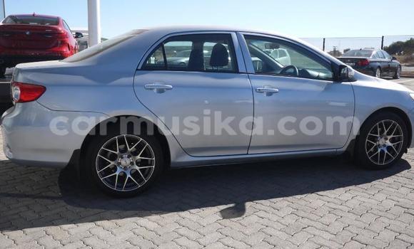 Acheter Occasion Voiture Toyota Corolla Bleu à Beitbridge, Matabeleland South Acheter Occasion Voiture Toyota Corolla Bleu à Beitbridge, Matabeleland South