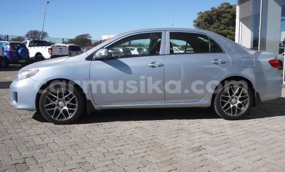 Acheter Occasion Voiture Toyota Corolla Bleu à Beitbridge, Matabeleland South Acheter Occasion Voiture Toyota Corolla Bleu à Beitbridge, Matabeleland South