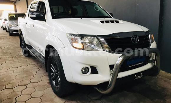 Tenga Tsaru Toyota Hilux Chena Mota in Beitbridge in Matabeleland South
