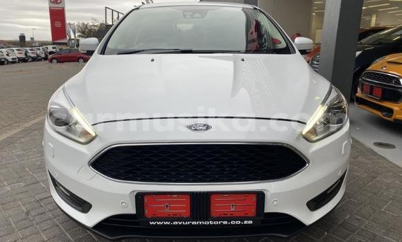 Acheter Occasion Voiture Ford Focus Blanc à Beitbridge, Matabeleland South