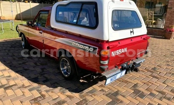 Tenga Tsaru Nissan Pickup Tsvuku Mota in Beitbridge in Matabeleland South Tenga Tsaru Nissan Pickup Tsvuku Mota in Beitbridge in Matabeleland South