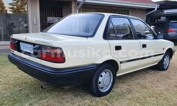 Tenga Tsaru Toyota Corolla Zvimwe Mota in Beitbridge in Matabeleland South Tenga Tsaru Toyota Corolla Zvimwe Mota in Beitbridge in Matabeleland South