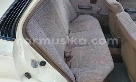 Tenga Tsaru Toyota Corolla Zvimwe Mota in Beitbridge in Matabeleland South Tenga Tsaru Toyota Corolla Zvimwe Mota in Beitbridge in Matabeleland South