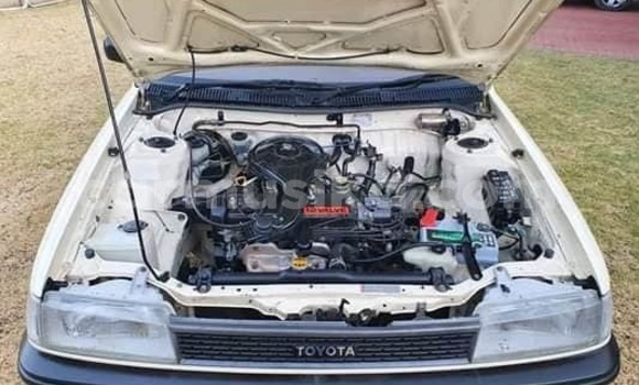 Tenga Tsaru Toyota Corolla Zvimwe Mota in Beitbridge in Matabeleland South Tenga Tsaru Toyota Corolla Zvimwe Mota in Beitbridge in Matabeleland South