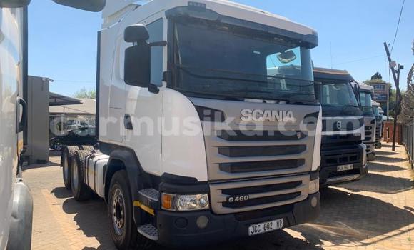 Nunua Ilio tumika Scania R420 Nyeupe Lori ndani ya Beitbridge nchini Matabeleland Kusini